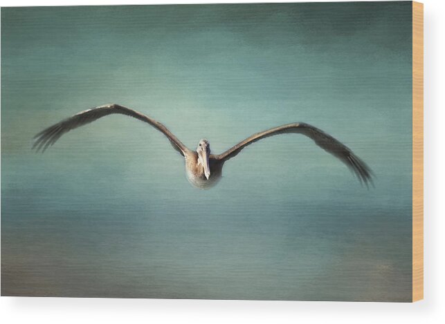 Pelican Wood Print featuring the photograph Coming At You by Pam Holdsworth