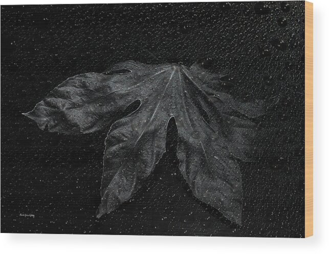Plant Wood Print featuring the photograph Coming Forward by Randi Grace Nilsberg