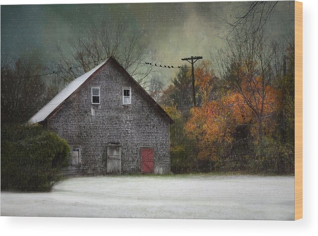 Barn Wood Print featuring the photograph Common Thread 2 by Robin-Lee Vieira