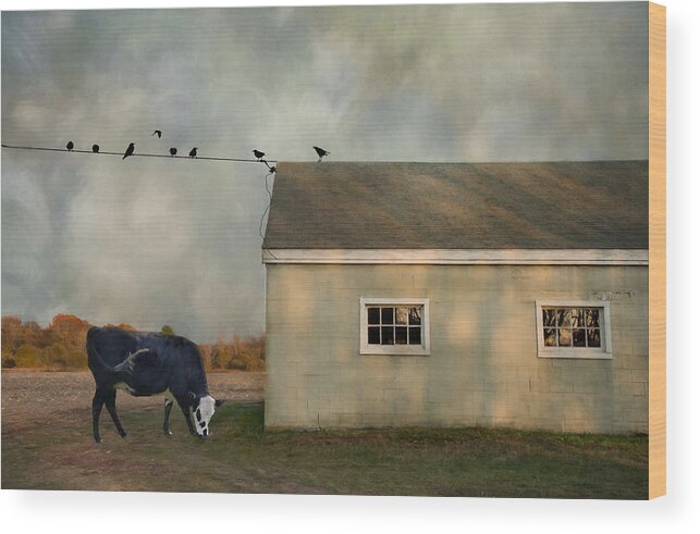 Cow Wood Print featuring the photograph Common Thread by Robin-Lee Vieira