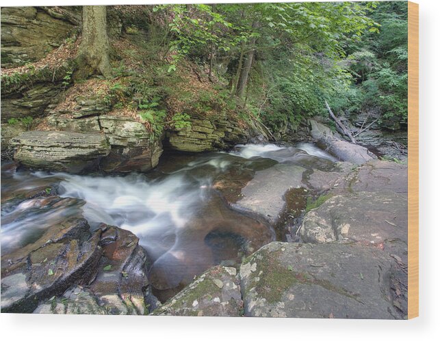 Conestoga Wood Print featuring the photograph Conestoga Falls From The Top by Gene Walls