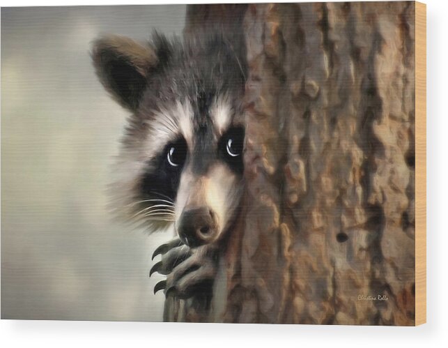 Raccoon Wood Print featuring the painting Conspicuous Bandit by Christina Rollo