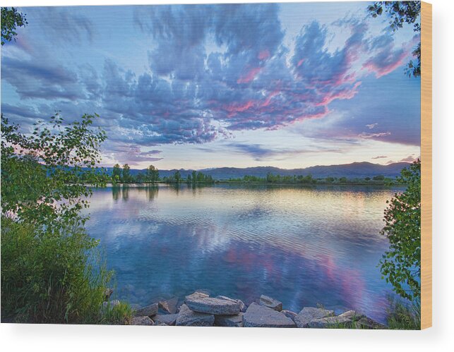 Reflections Wood Print featuring the photograph Coot Lake View by James BO Insogna