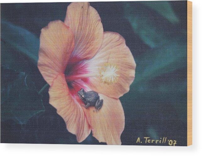 Flowers Wood Print featuring the photograph Coqui by Alice Terrill