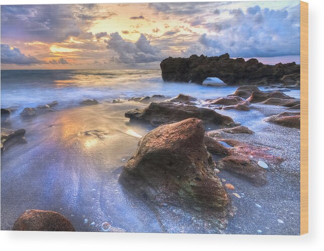 Blowing Wood Print featuring the photograph Coral Garden by Debra and Dave Vanderlaan