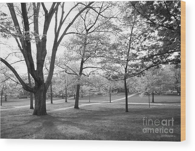 Cornell University Wood Print featuring the photograph Cornell University Landscape by University Icons