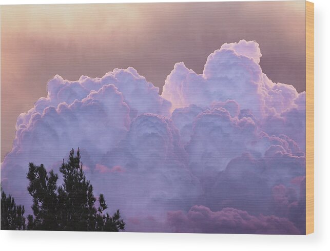 Clouds Wood Print featuring the photograph Cotton Candy by Mike Stephens