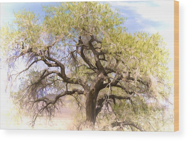 Tree Wood Print featuring the photograph Cottonwood Tree Digital Painting by Dianne Phelps
