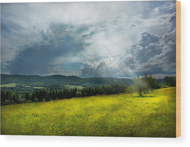 Eternal Wood Print featuring the photograph Country - Eternal hope by Mike Savad