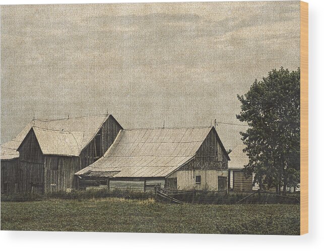 Barn Wood Print featuring the photograph Country Living by Daniel Martin