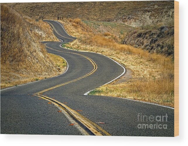 San Luis Obispo County Wood Print featuring the photograph Country Road by Alice Cahill