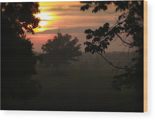 Michigan Wood Print featuring the photograph Country Sunrise 1 by Scott Hovind