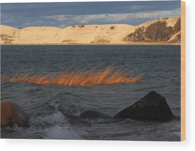 Cove Wood Print featuring the photograph Cove Belle Terre New York by Bob Savage