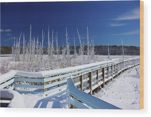 White Wood Print featuring the photograph Covered In White by Amazing Jules