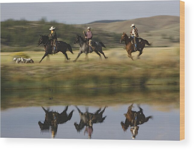 Feb0514 Wood Print featuring the photograph Cowboys Riding With Dogs Oregon by Konrad Wothe