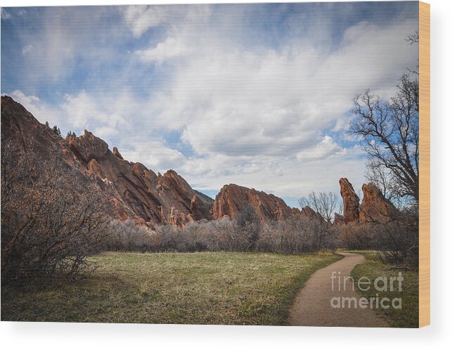 Roxborough Wood Print featuring the photograph Craggy Wonder by Cheryl McClure