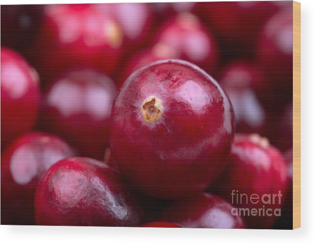 Autumn Wood Print featuring the photograph Cranberry closeup by Jane Rix