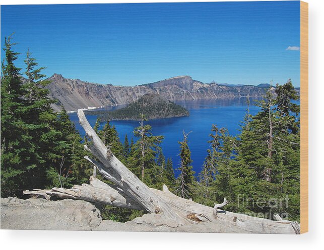 Crater Lake Wood Print featuring the photograph Crater Lake And Fallen Tree by Debra Thompson