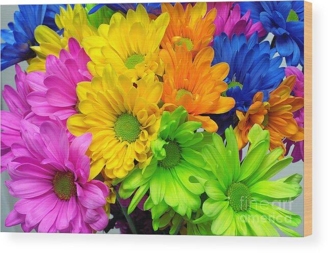 Daisy Wood Print featuring the photograph Colorful Crazy Daisies 1 by Andee Design