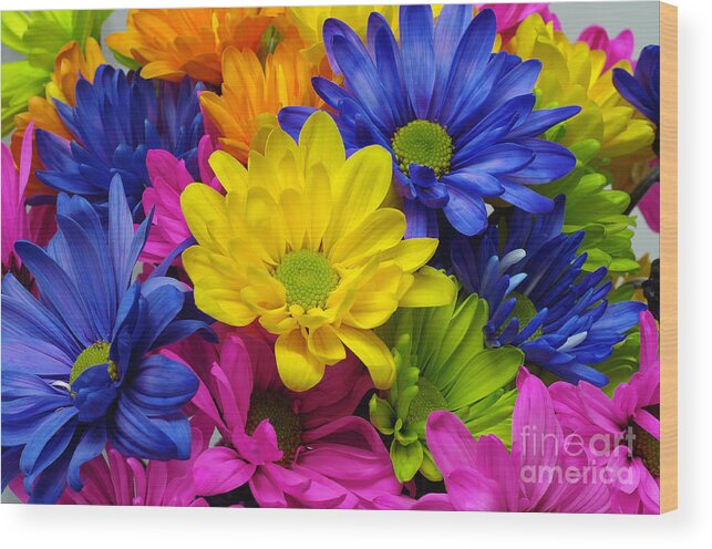 Daisy Wood Print featuring the photograph Colorful Crazy Daisies 3 by Andee Design