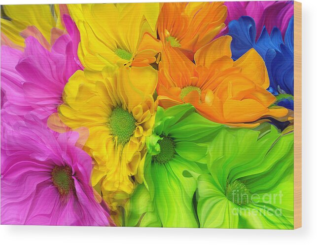 Andee Design Daisy Wood Print featuring the photograph Colorful Crazy Daisies Abstract by Andee Design