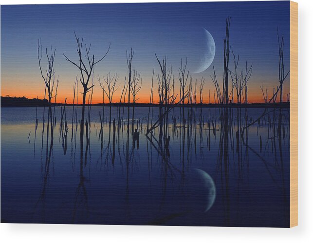 Crescent Moon Wood Print featuring the photograph The Crescent Moon by Raymond Salani III