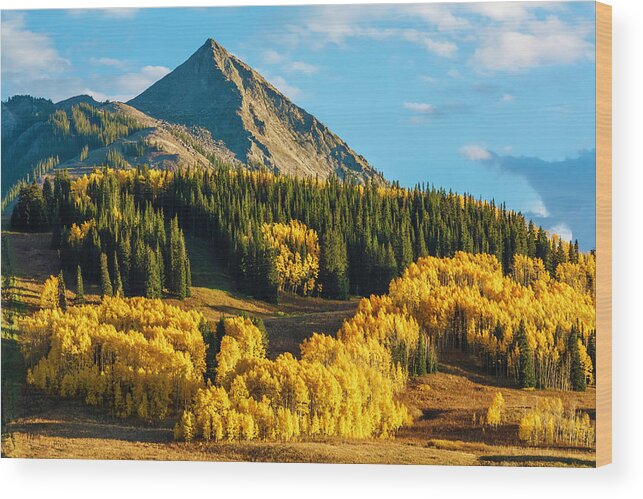Scenics Wood Print featuring the photograph Crested Butte Autumn Colors At Sunset by Dszc