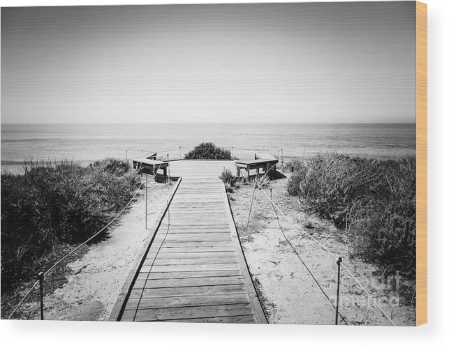 America Wood Print featuring the photograph Crystal Cove Overlook Black and White Picture by Paul Velgos