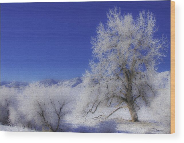 Frozen Trees Wood Print featuring the photograph Crystalized Valley by Kristal Kraft