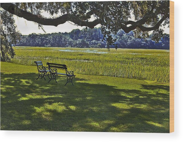 Marsh Landscape Wood Print featuring the photograph Cypress Farms by Edward Shmunes