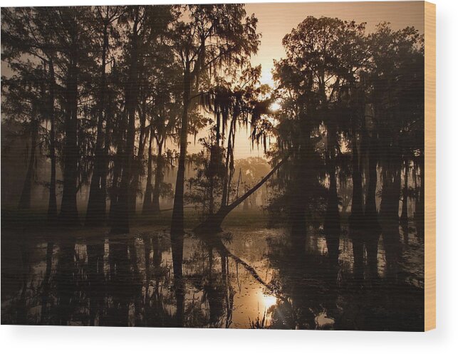 Louisiana Wood Print featuring the photograph Cypress Sunrise by Ron Weathers