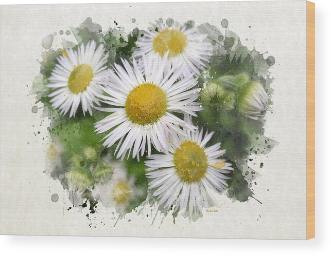 Daisy Wood Print featuring the mixed media Daisy Watercolor Flowers by Christina Rollo