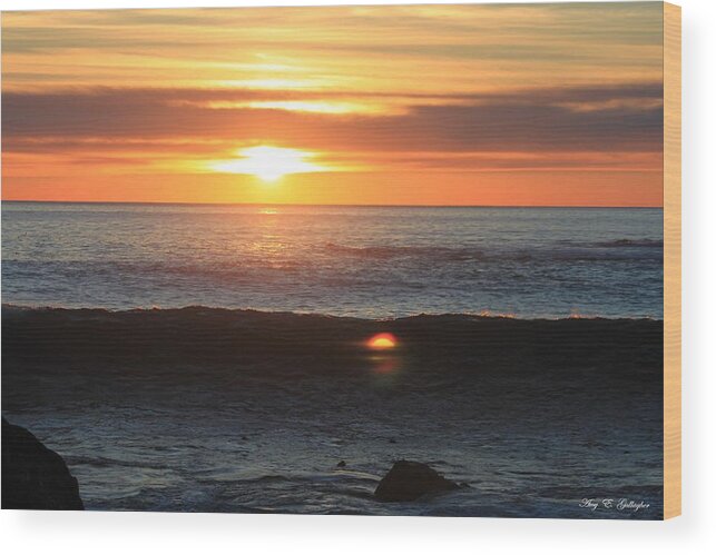 Sunset Wood Print featuring the photograph Dancing With The Sun by Amy Gallagher
