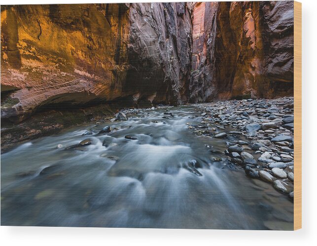 Zion Wood Print featuring the photograph Dark Passage by Chuck Jason