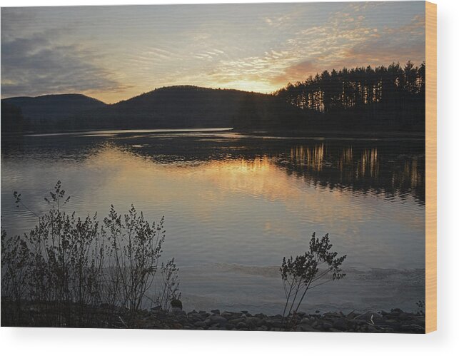 Dawn Wood Print featuring the photograph Dawn at the Lake by Nancy De Flon