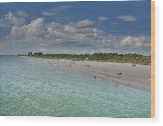 Beach Wood Print featuring the photograph Day at The Beach by Alison Belsan Horton