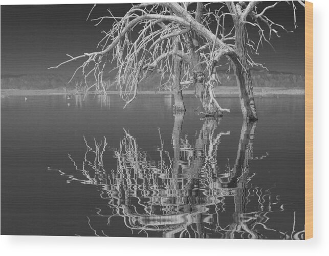 Reflection Wood Print featuring the photograph Dead Arch Black and White by Scott Campbell