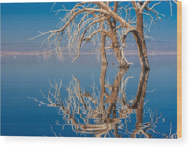Reflection Wood Print featuring the photograph Dead Arch by Scott Campbell