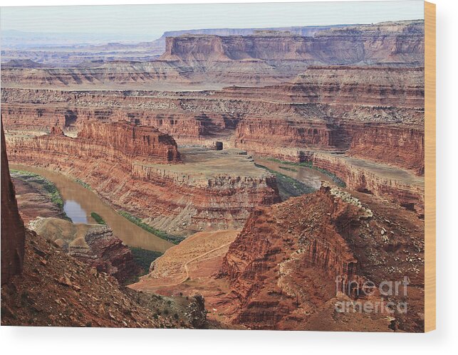 Nature Wood Print featuring the photograph Dead Horse Point by Kathy McClure