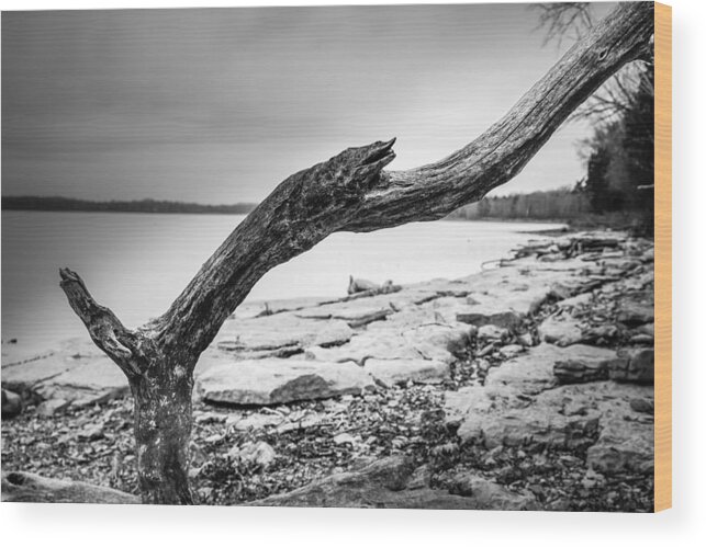 Tree Wood Print featuring the photograph Dead Wood by Brett Engle
