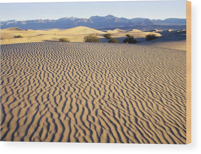 California Wood Print featuring the photograph Death Valley Sand Patterns by Brenda Tharp