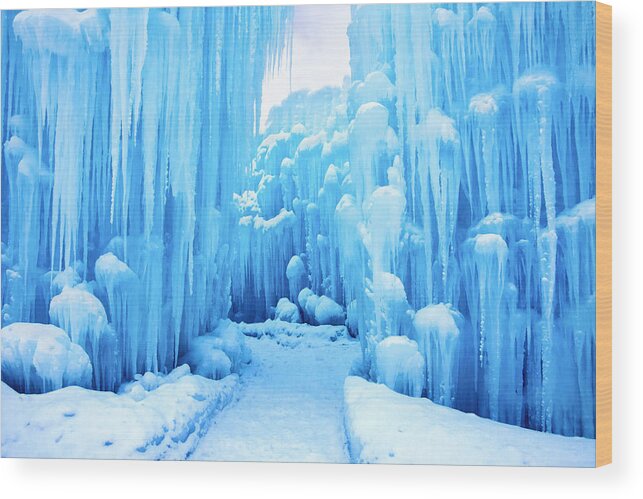 Blue Wood Print featuring the photograph Deep Blue by Greg Fortier
