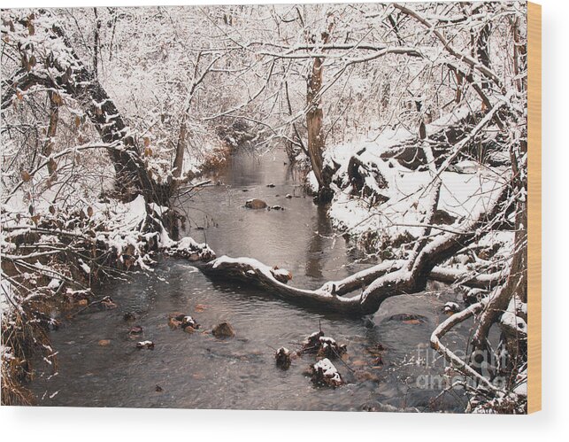 Winter Landscape Wood Print featuring the photograph Deep Run In Winter by Chris Scroggins