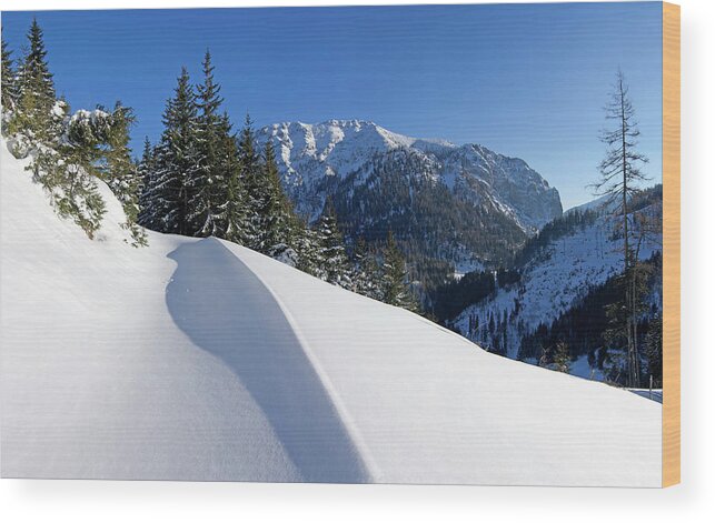 Scenics Wood Print featuring the photograph Deep Snow Trekking by Twilight Tea Landscape Photography