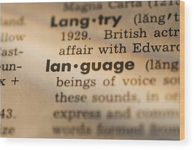 Focus Wood Print featuring the photograph Definition of language in dictionary by Daniel Grill