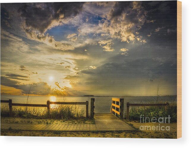 Apollo Beach Wood Print featuring the photograph Del Sol by Marvin Spates