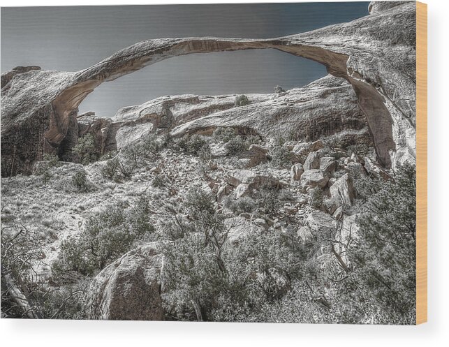 Utah Wood Print featuring the photograph Delicate Stone by Richard Gehlbach