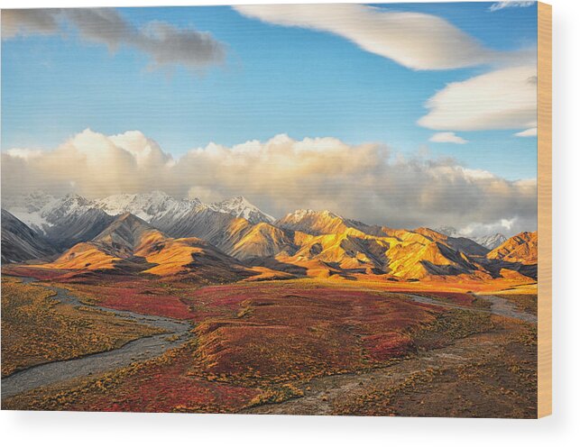 Denali Wood Print featuring the photograph Denali Prairie 4 - Denali National Park - Alaska by Bruce Friedman
