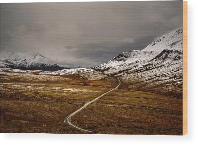 Tranquility Wood Print featuring the photograph Denali Road by Naphat Photography