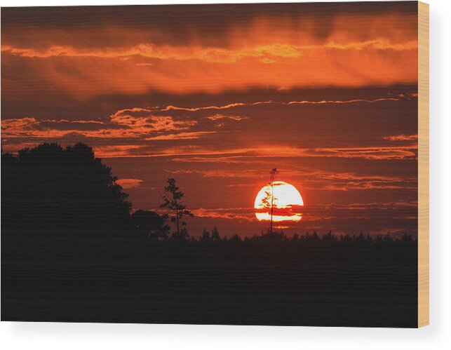 Denton Sunset Wood Print featuring the photograph Denton Farm Sunset by Bill Swartwout